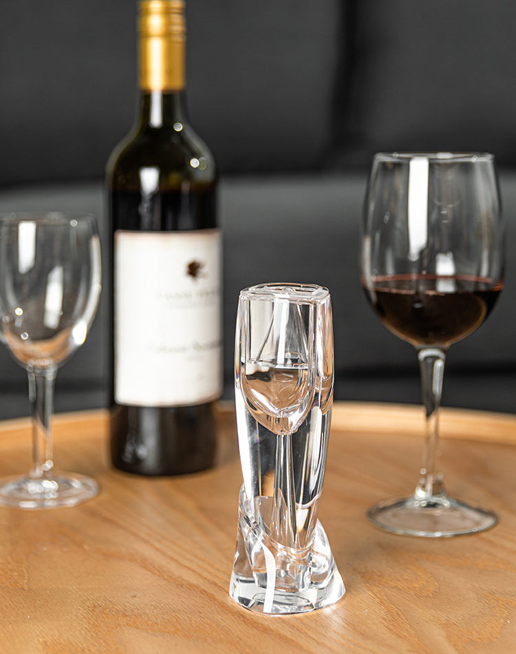 PTZER 葡萄酒起泡器套裝,帶淨化器過濾器,帶旅行袋和底座